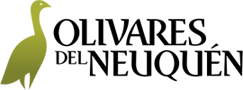 Contactanos