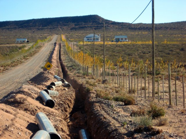 Construcción Olivares