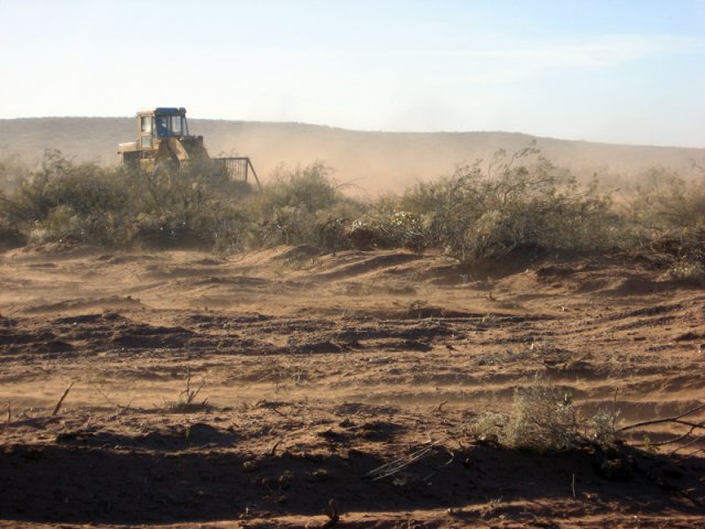 Construcción Olivares
