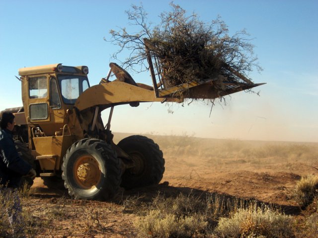 Construcción Olivares