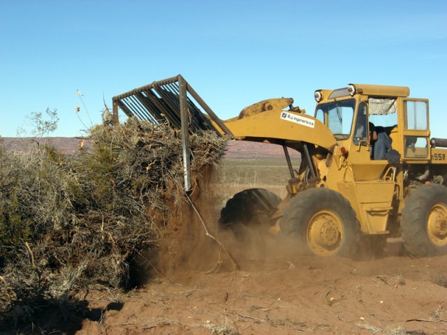 Construcción Olivares
