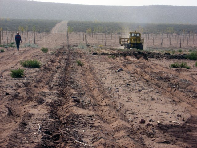 Construcción Olivares