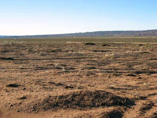 Construcción Olivares