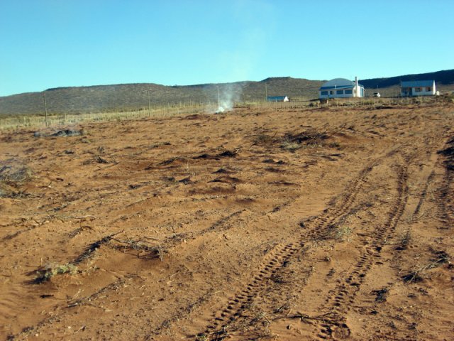 Construcción Olivares