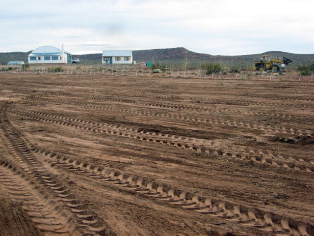 Construcción Olivares