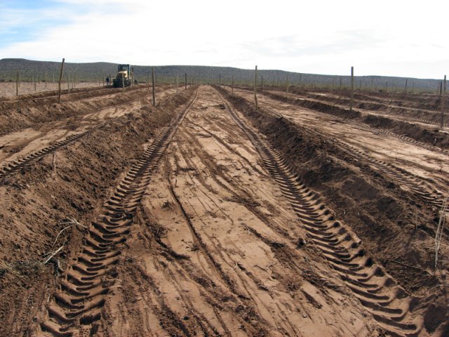 Construcción Olivares