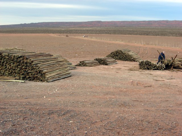 Construcción Olivares