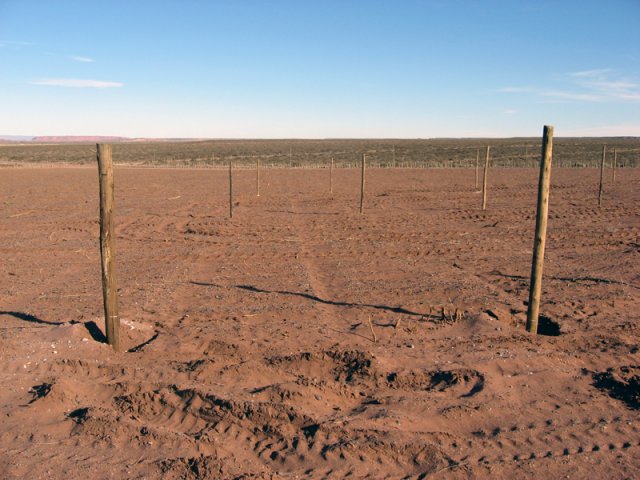 Construcción Olivares