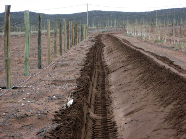 Construcción Olivares