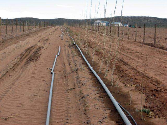 Construcción Olivares