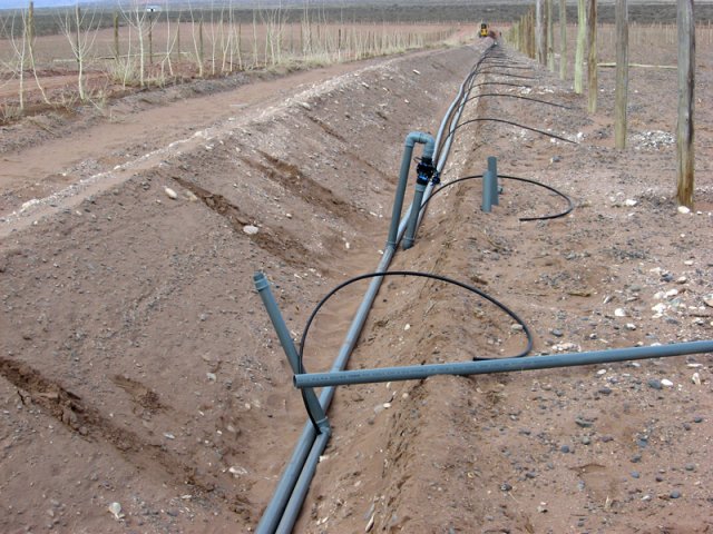 Construcción Olivares