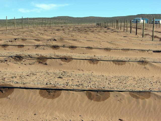 Construcción Olivares
