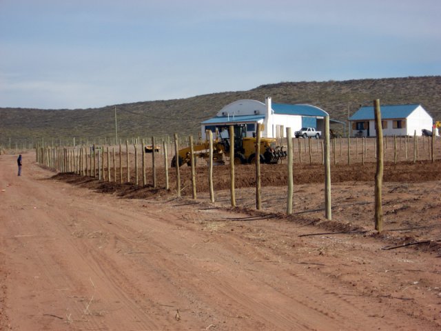 Construcción Olivares