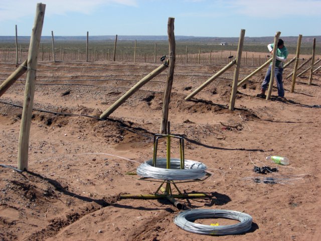 Construcción Olivares