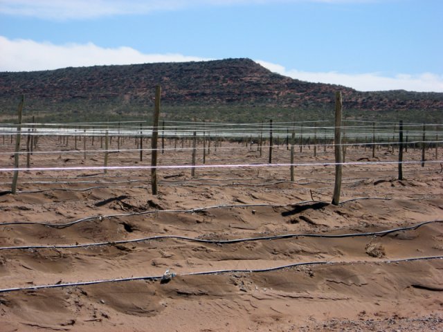 Construcción Olivares