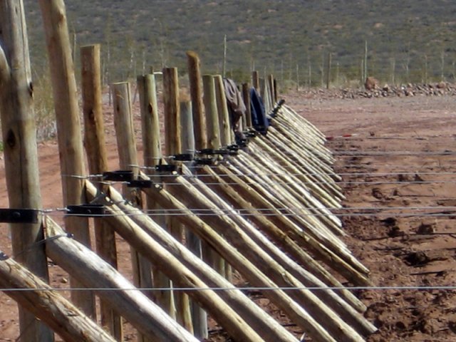 Construcción Olivares