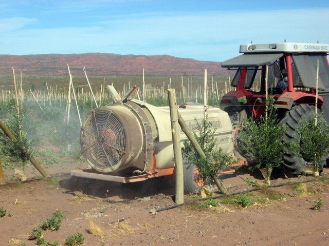 Construcción Olivares