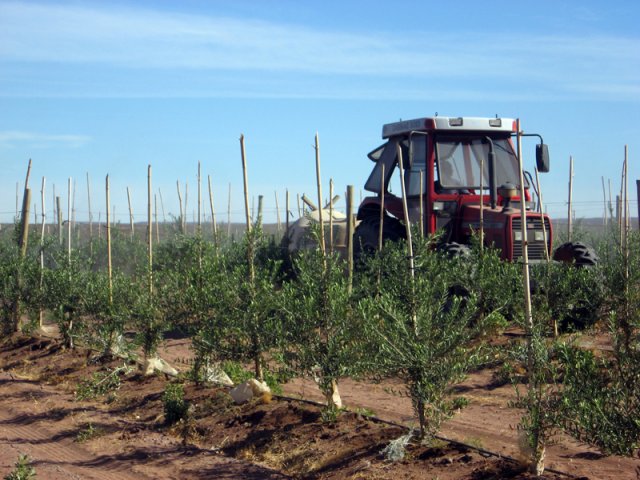 Construcción Olivares