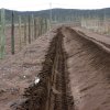 Construcción Olivares