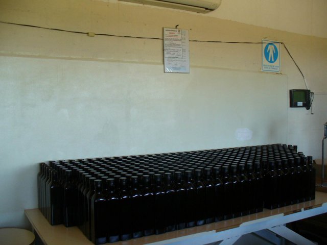 Elaboración del aceite de oliva extra virgen 