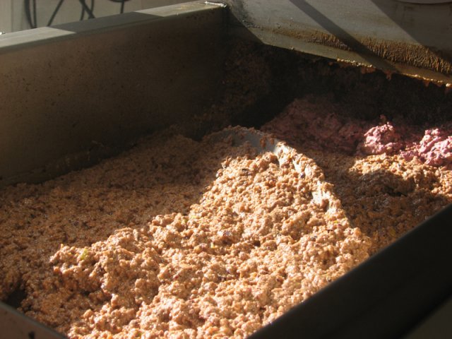 Elaboración del aceite de oliva extra virgen 