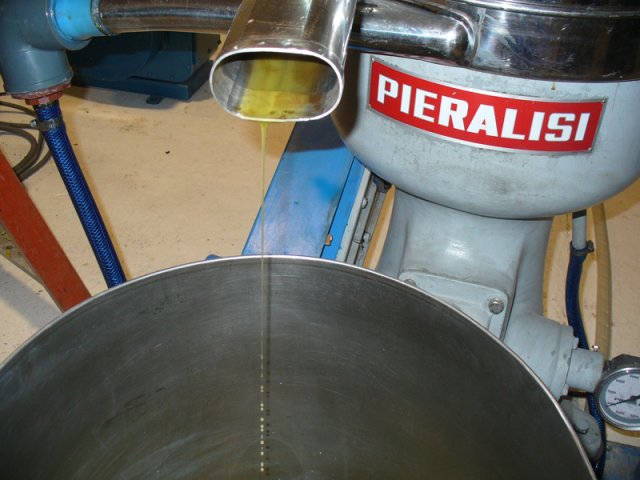 Elaboración del aceite de oliva extra virgen 
