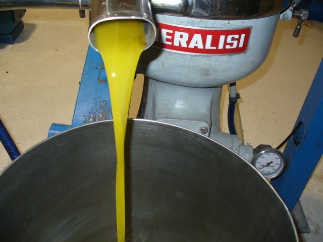 Elaboración del aceite de oliva extra virgen 